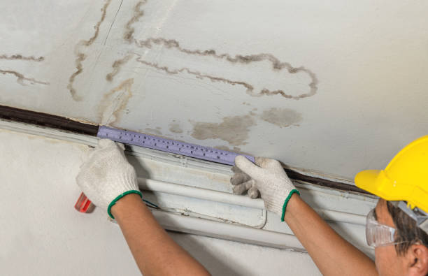 Affordable Flood Damage Restoration solutions in Chancellor, SD